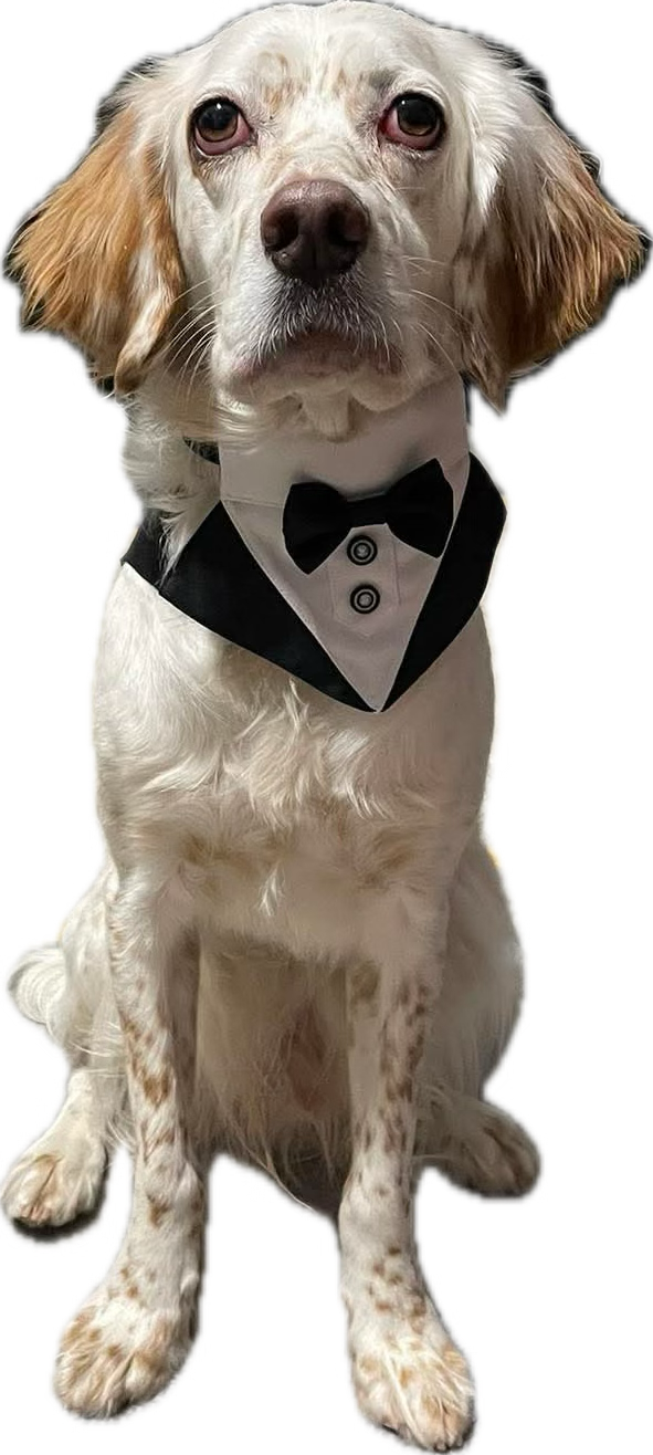 Casper in a tuxedo